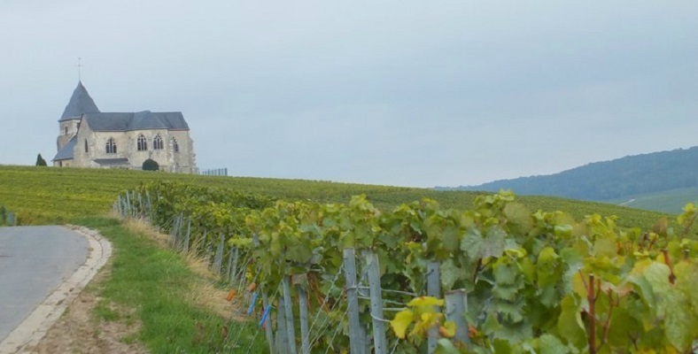 Champagne Laherte Frères