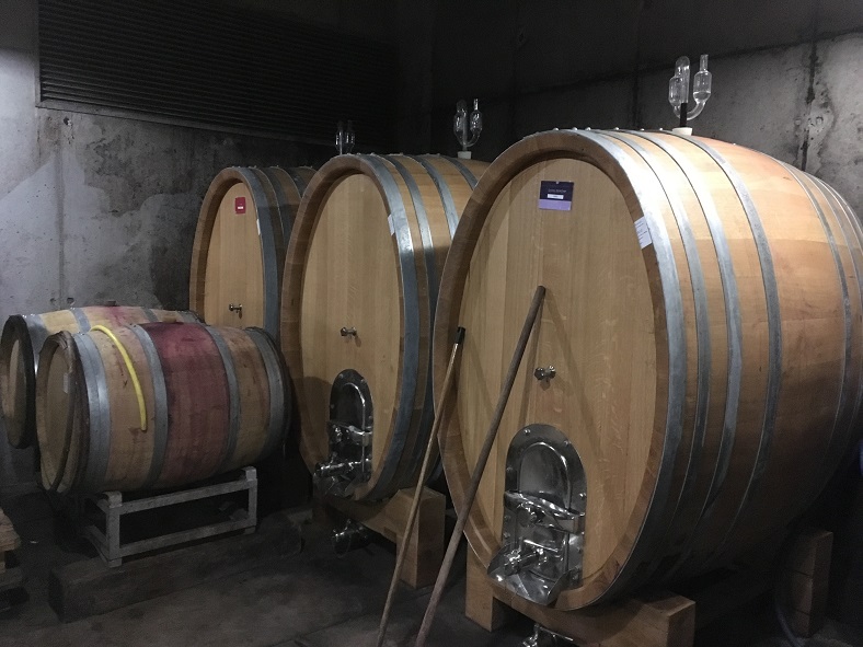 Alain Graillot Vin syrah Rhone iDealwine - 4