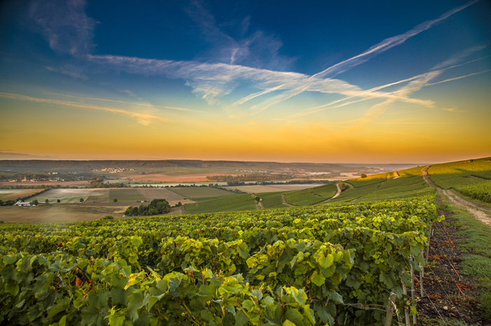 champagne allemagne